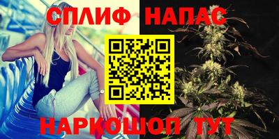 гидропоника Тула