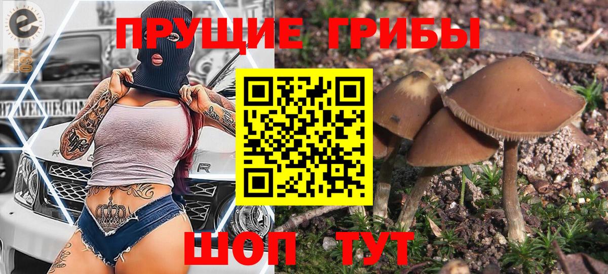 дарнет шоп  Вход с VPN  Лыткарино  Галлюциногенные грибы мицелий 